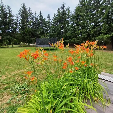 Bed and Breakfast Ebner Pince - Panzio *