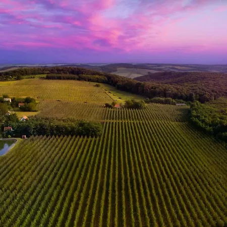 Ebner Pince - Panzio Bed and Breakfast
